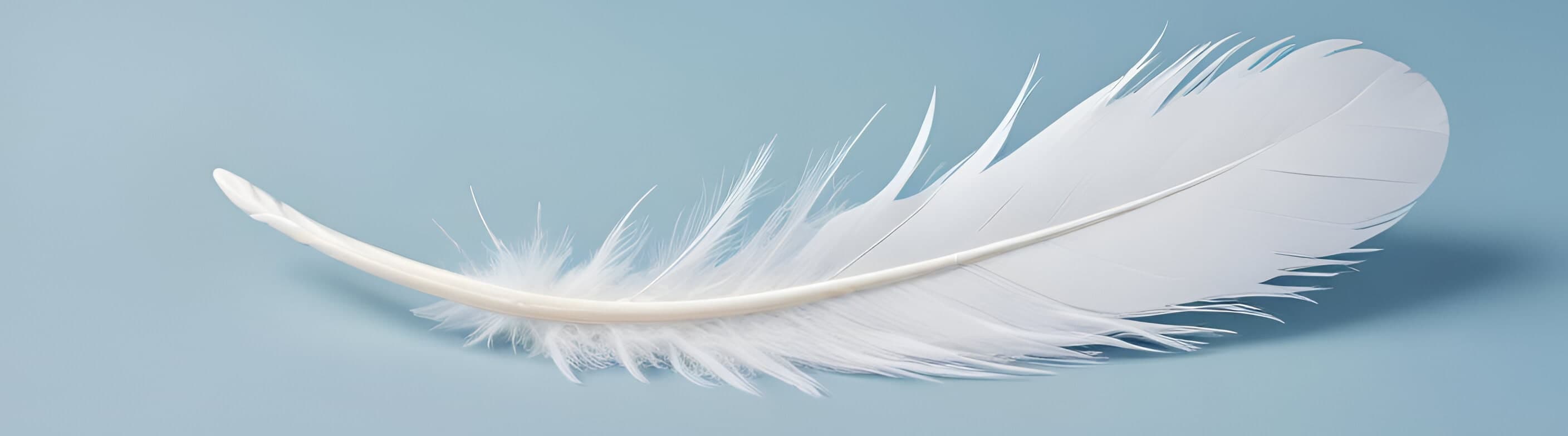 feature cards background